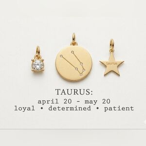 Apt 9 Taurus Zodiac Charms 3 Piece Set